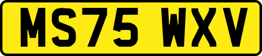 MS75WXV