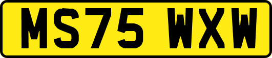 MS75WXW