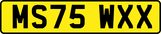 MS75WXX