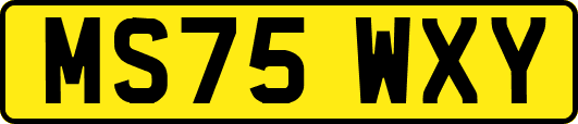 MS75WXY