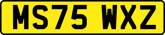 MS75WXZ