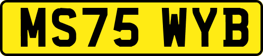 MS75WYB