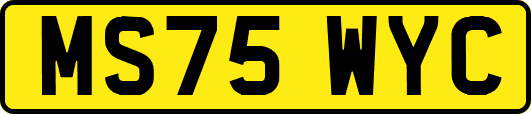 MS75WYC