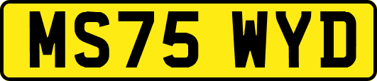 MS75WYD