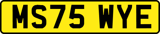 MS75WYE