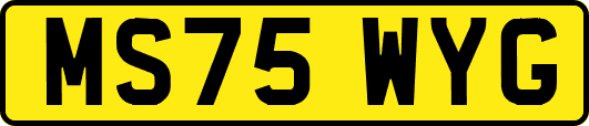MS75WYG