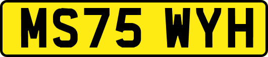 MS75WYH