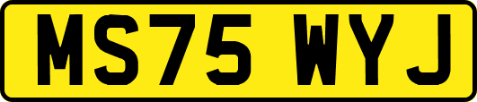 MS75WYJ