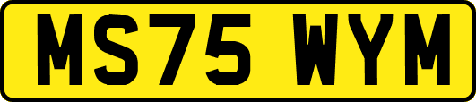 MS75WYM