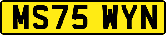 MS75WYN