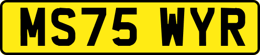 MS75WYR