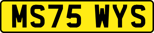 MS75WYS