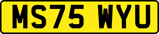 MS75WYU