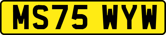 MS75WYW