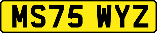 MS75WYZ