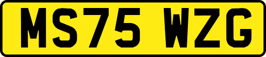MS75WZG