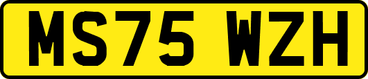 MS75WZH