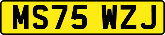 MS75WZJ