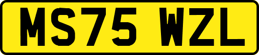 MS75WZL