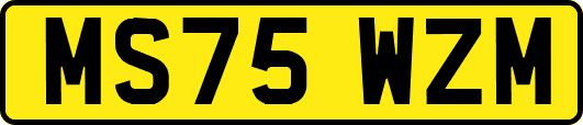 MS75WZM
