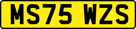 MS75WZS