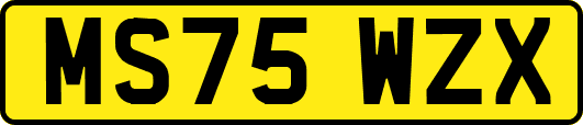 MS75WZX