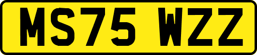 MS75WZZ