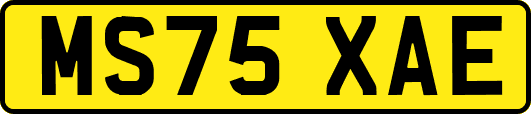 MS75XAE