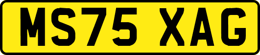 MS75XAG