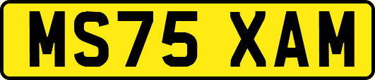 MS75XAM