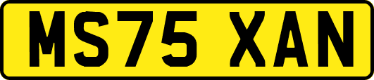 MS75XAN