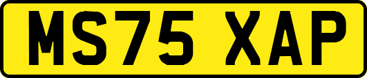 MS75XAP