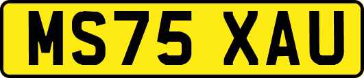 MS75XAU