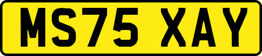 MS75XAY