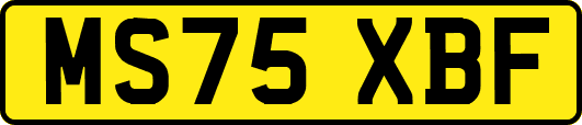 MS75XBF
