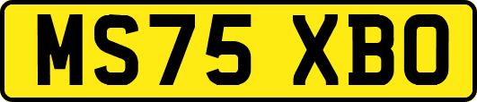MS75XBO