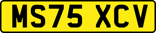 MS75XCV