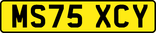 MS75XCY