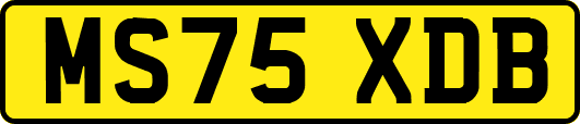 MS75XDB