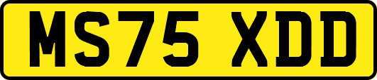 MS75XDD