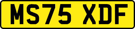 MS75XDF