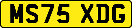 MS75XDG