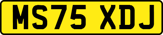 MS75XDJ