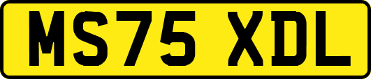 MS75XDL