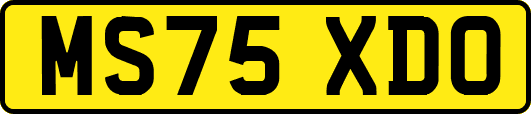 MS75XDO