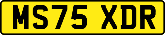 MS75XDR