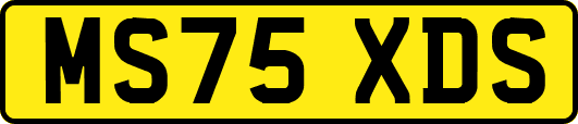 MS75XDS
