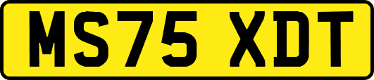 MS75XDT