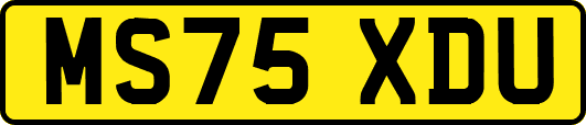 MS75XDU