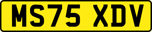 MS75XDV